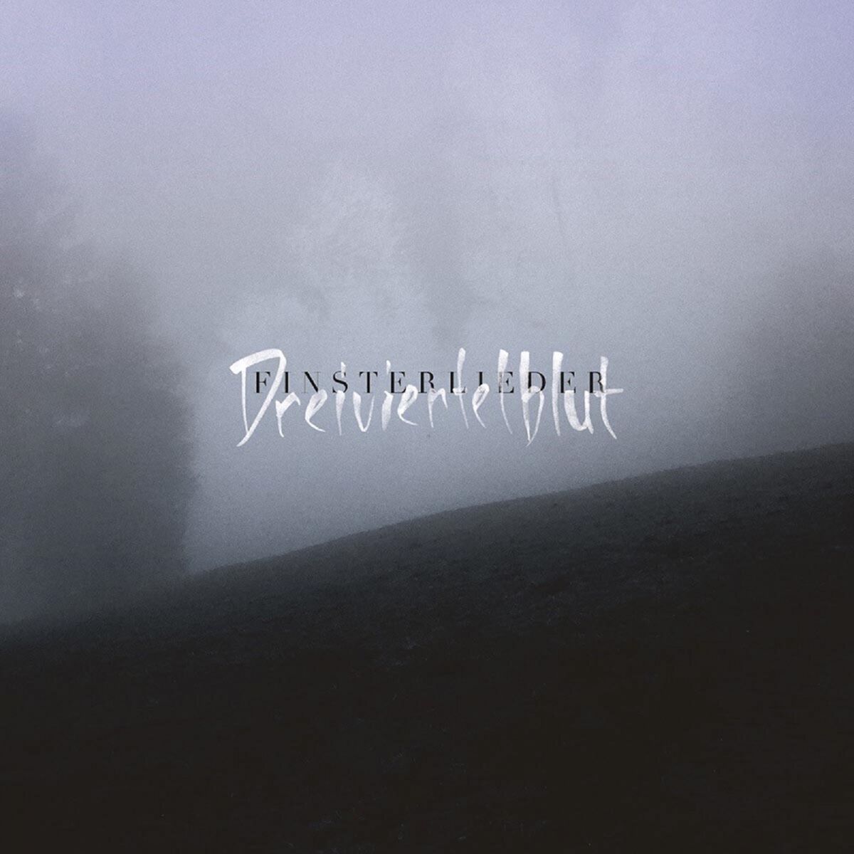 Album cover of Finsterlieder