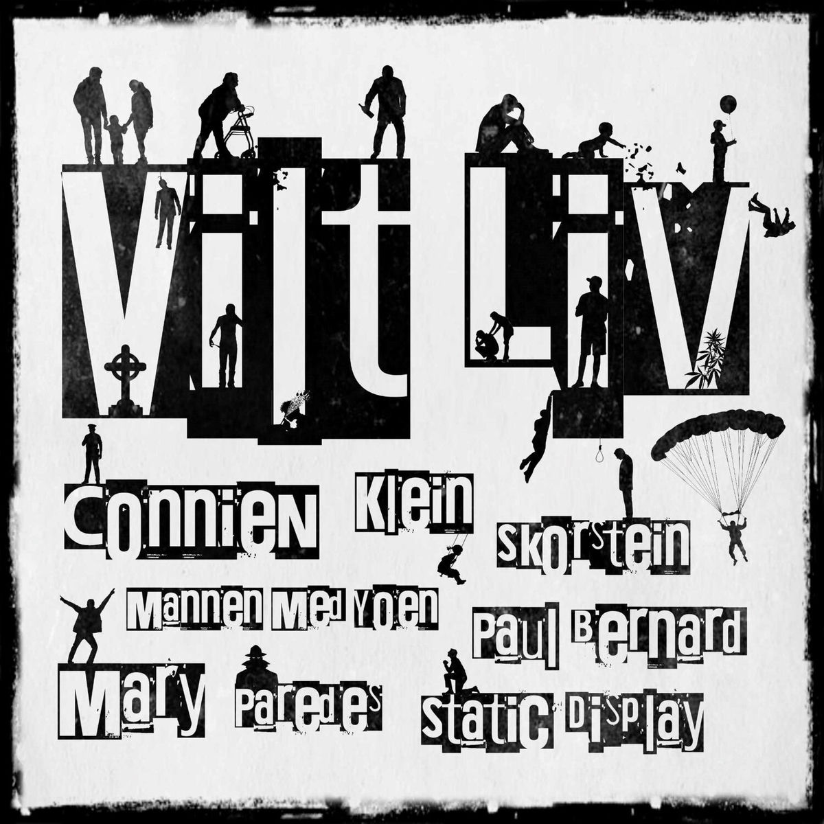 Album cover of Vilt liv
