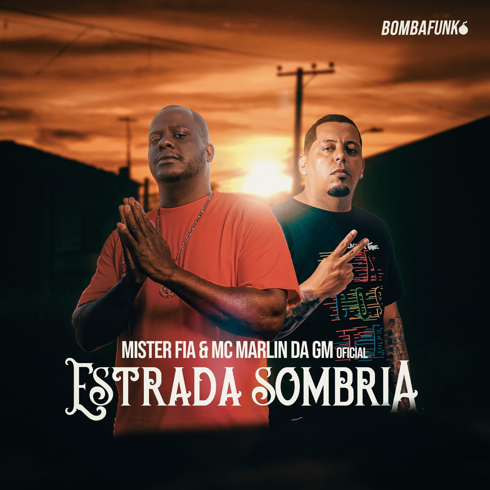 Album cover of Estrada Sombria