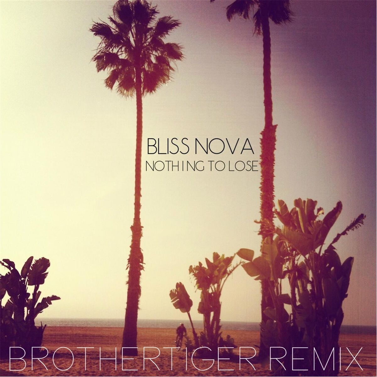 Album cover of Nothing to Lose (Brothertiger Remix)
