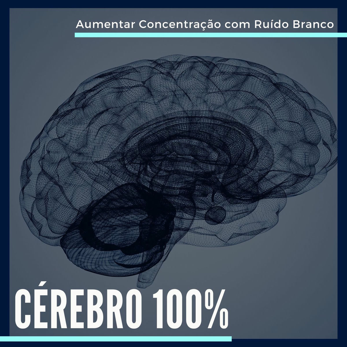Album picture of Cérebro 100%: Aumentar Concentração e Memorizar Informações com Ruído Branco