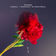 Signal by Rinzen album cover