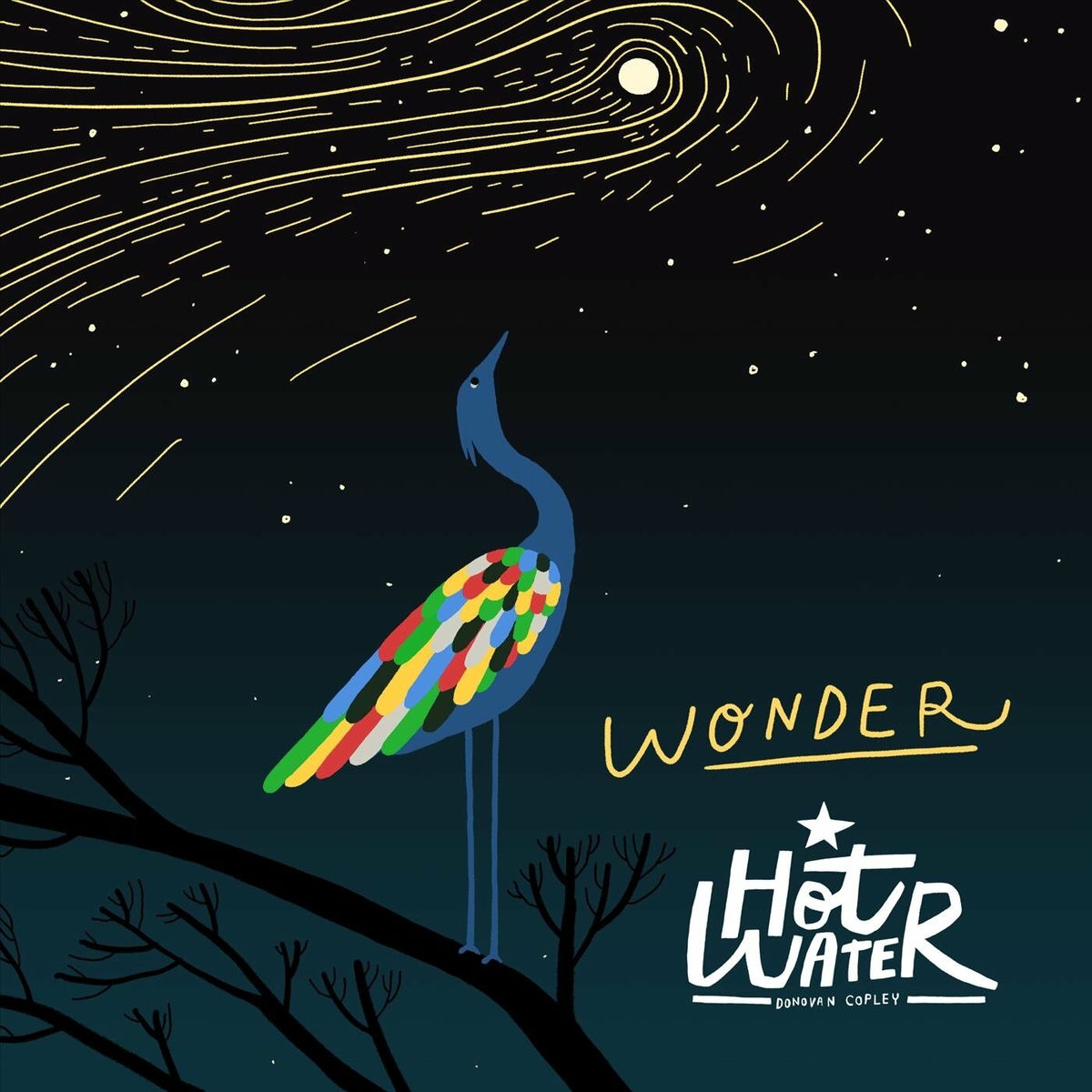 Album cover of Wonder
