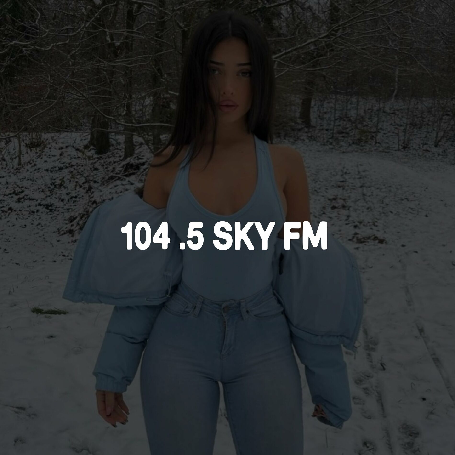 Album cover of 104.5 Sky Fm