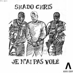 Cover of Je N'Ai Pas Volé