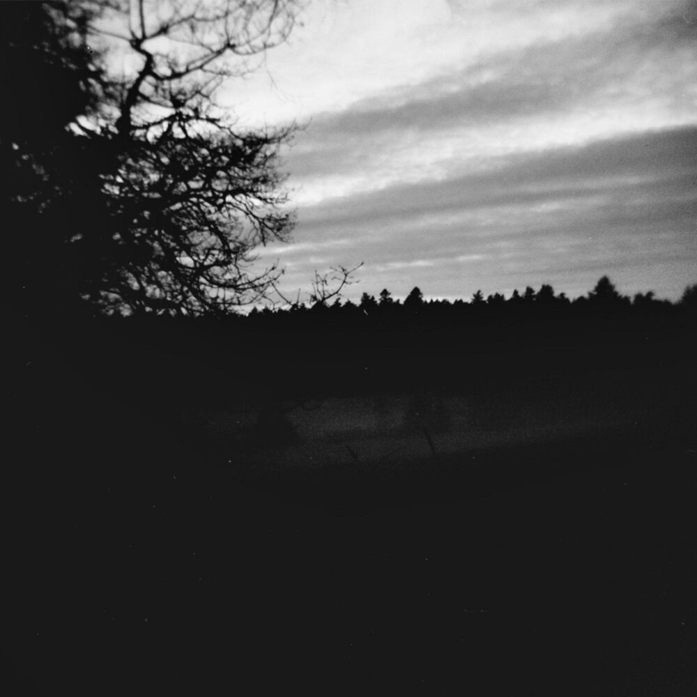 Picture of on my mind (16/3/24)