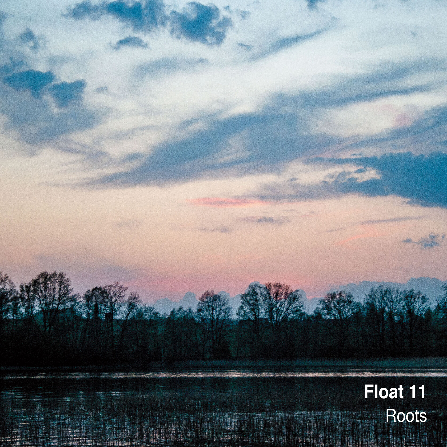 Album cover of Roots