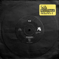 Cover of Reasonable Remixes 2