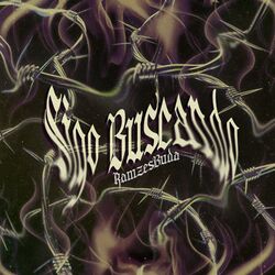 Cover of Sigo Buscando