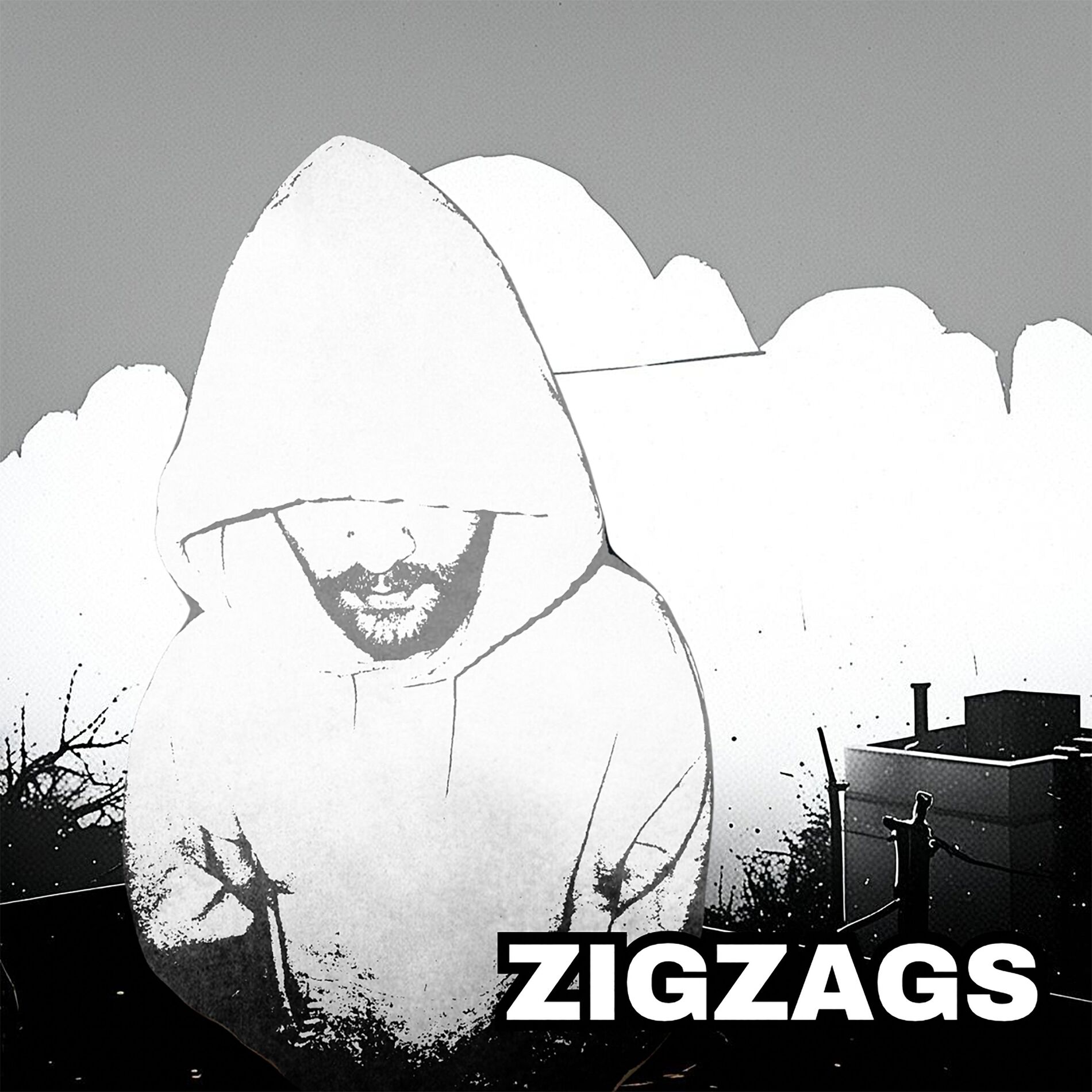 Album cover of Zigzags