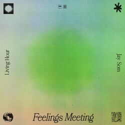 Cover of Feelings Meeting