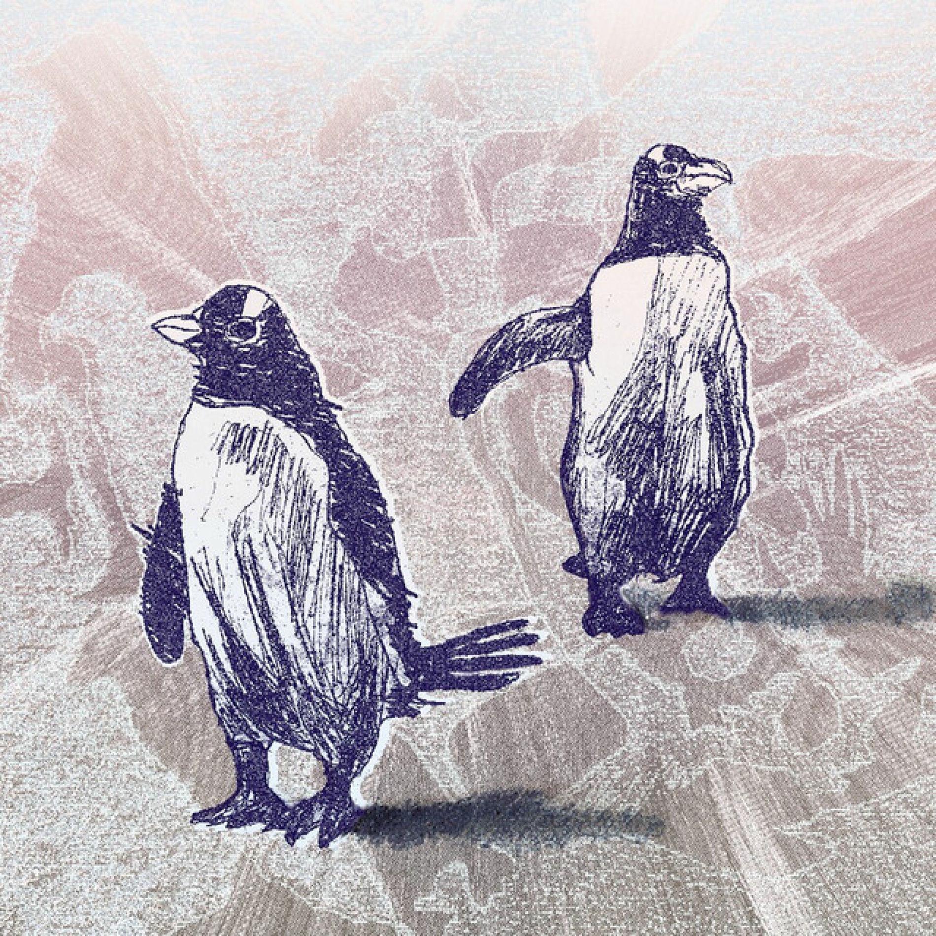 Album cover of I've Never Seen The Northern Lights