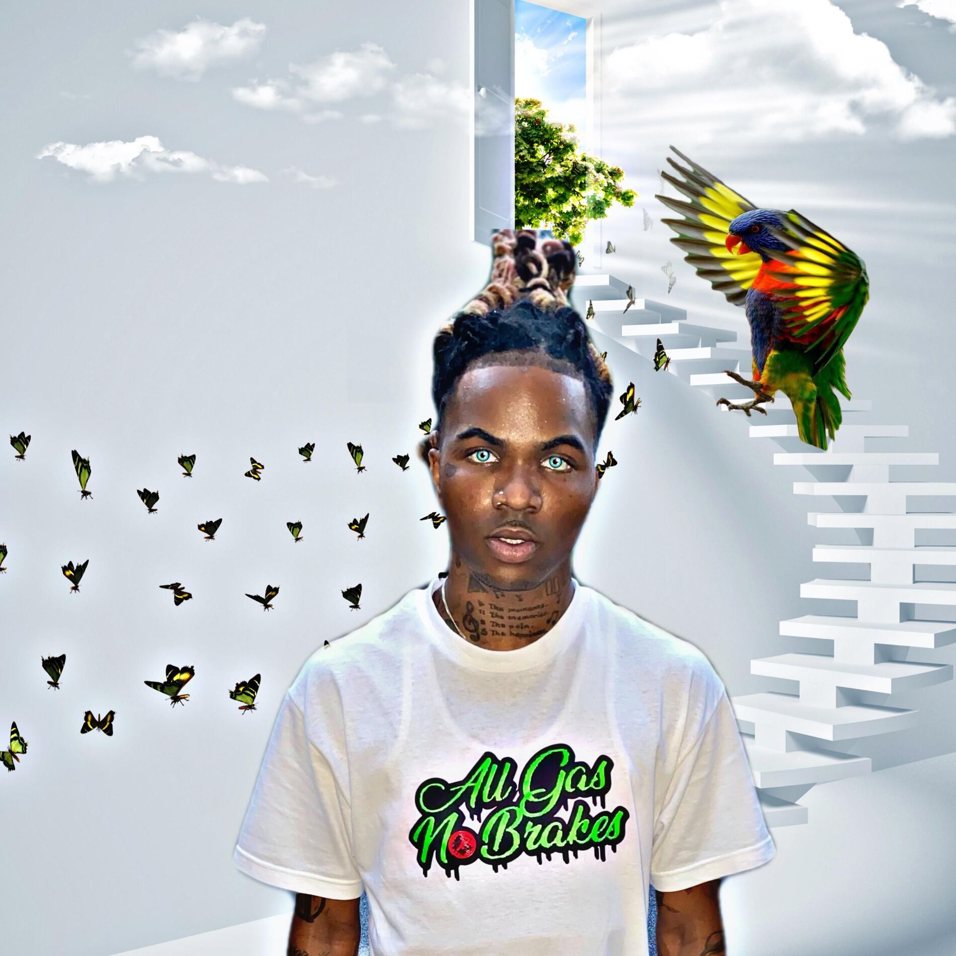 Album cover of The Butterfly effect