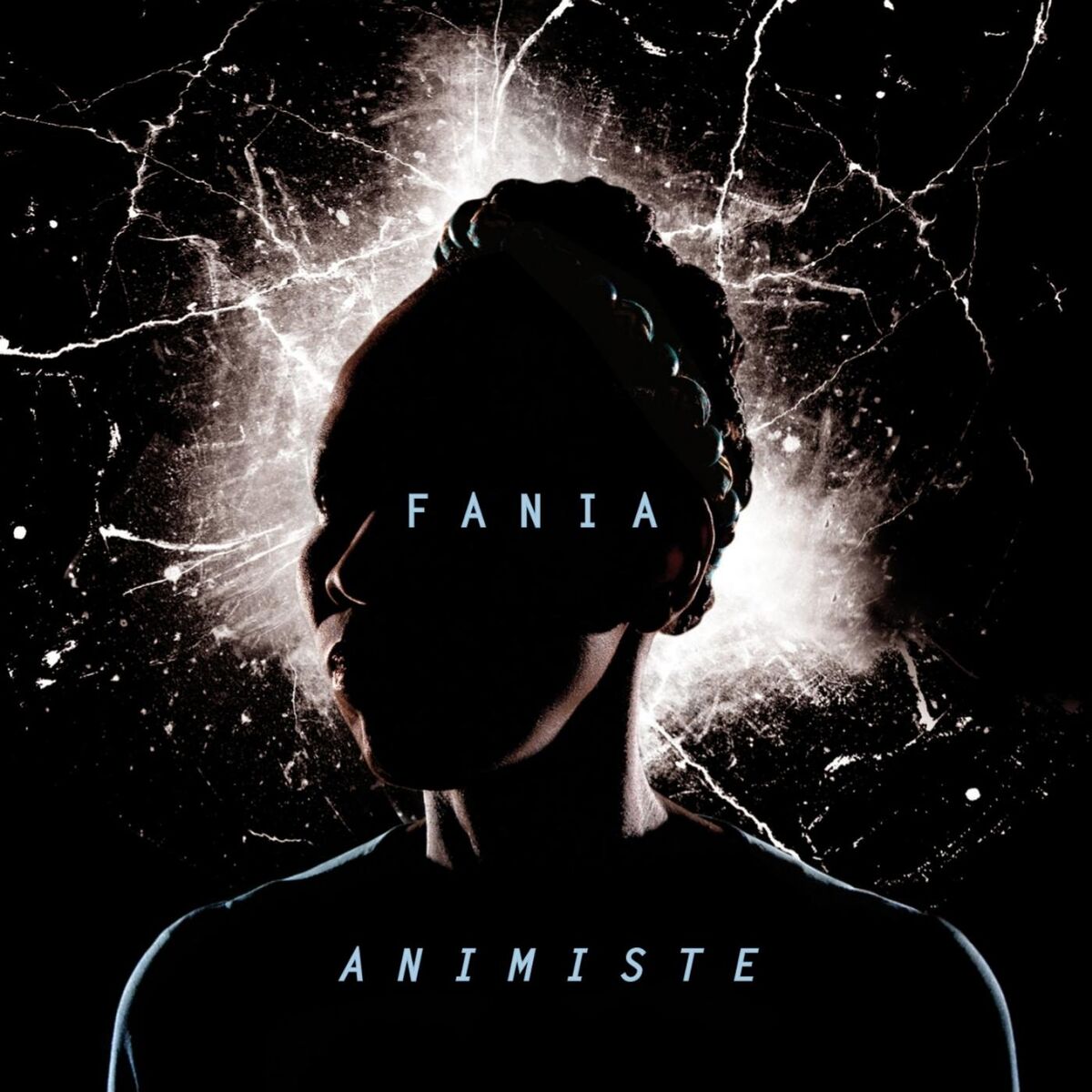 Album cover of Animiste