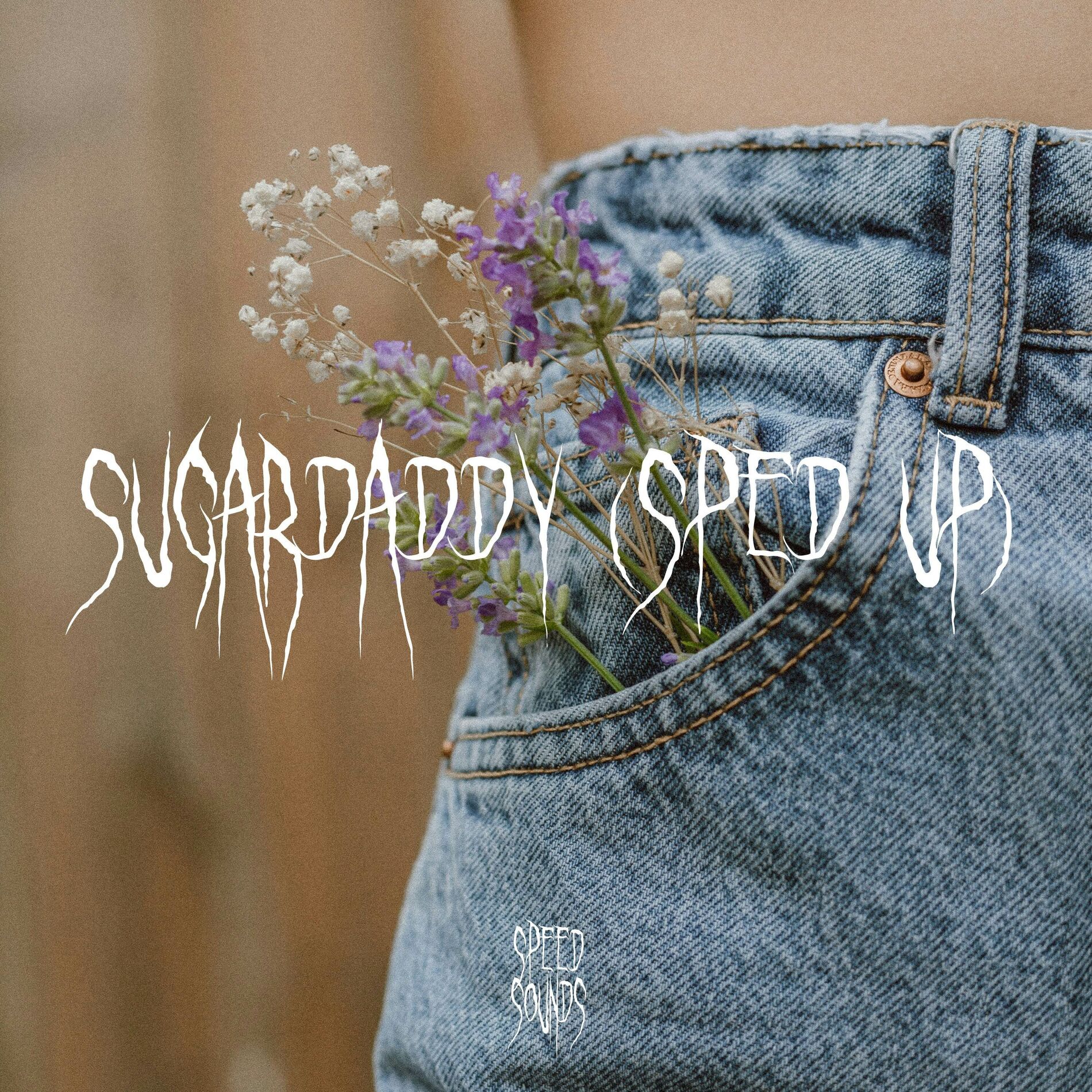 Album cover of Sugardaddy (Sped Up)