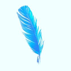 Cover of Little Bird (Acoustic Version)