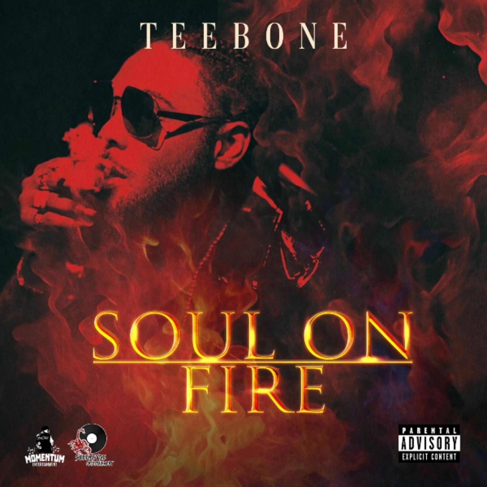 Album cover of Soul on Fire