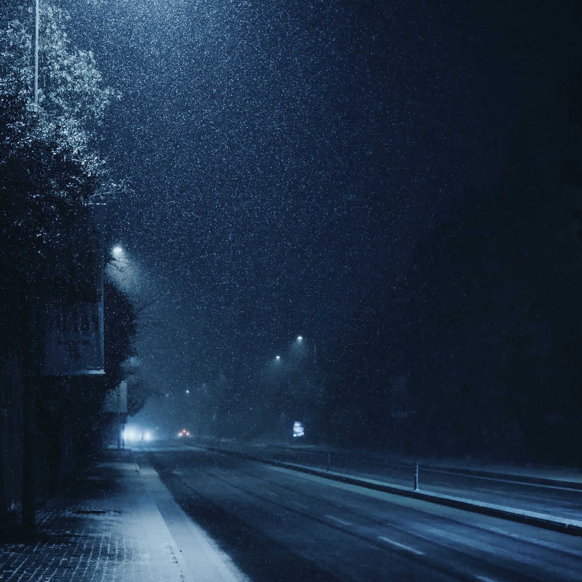 Album cover of snowy night