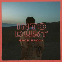 Cover of Into Dust