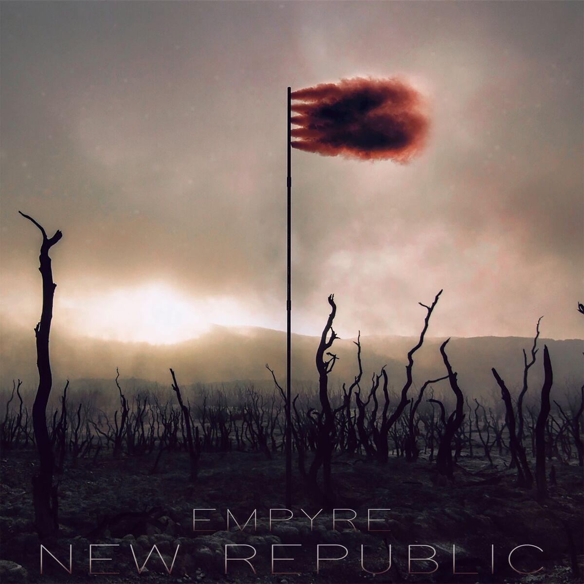 Album cover of New Republic