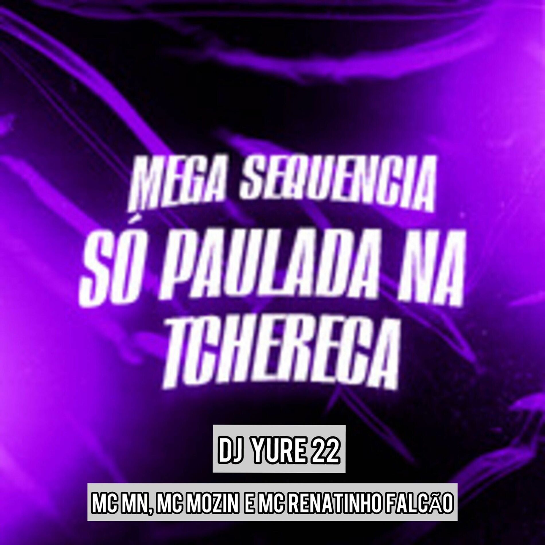 Album cover of Mega Sequencia Só Paulada na Tchereca