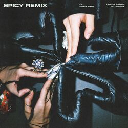 Cover of Spicy (Remix)