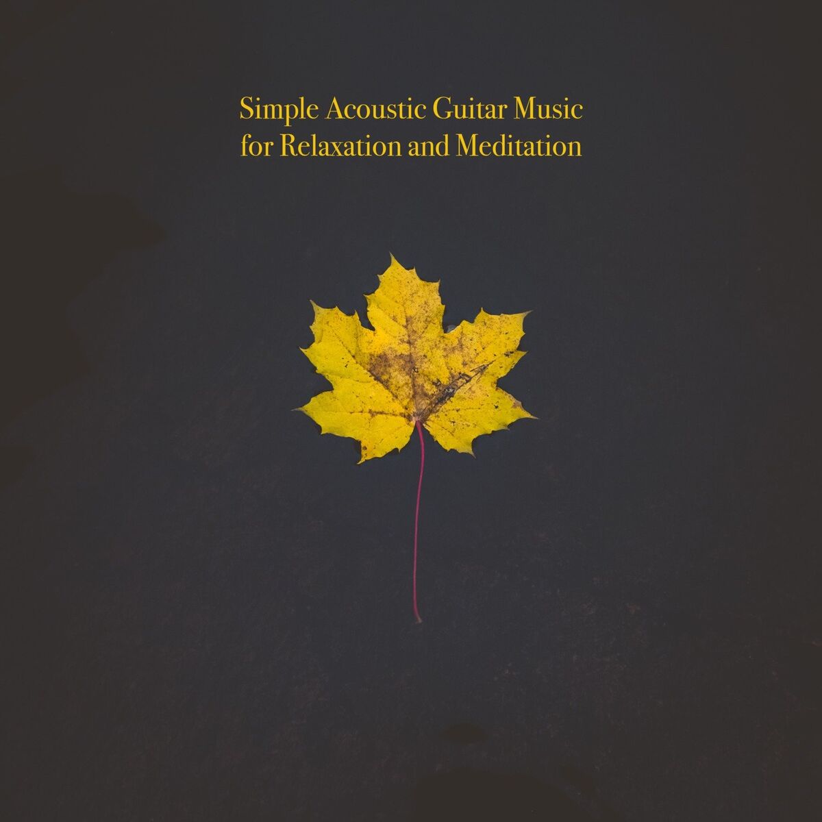 Album cover of Simple Acoustic Guitar Music for Relaxation and Meditation