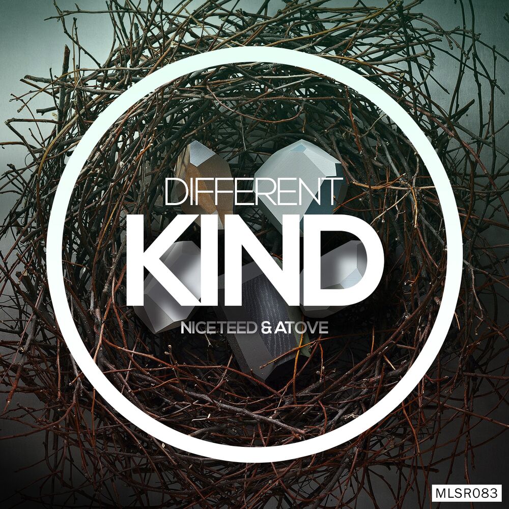 Picture of Different Kind EP