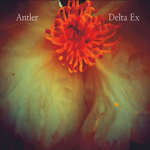 Delta Ex sleeve