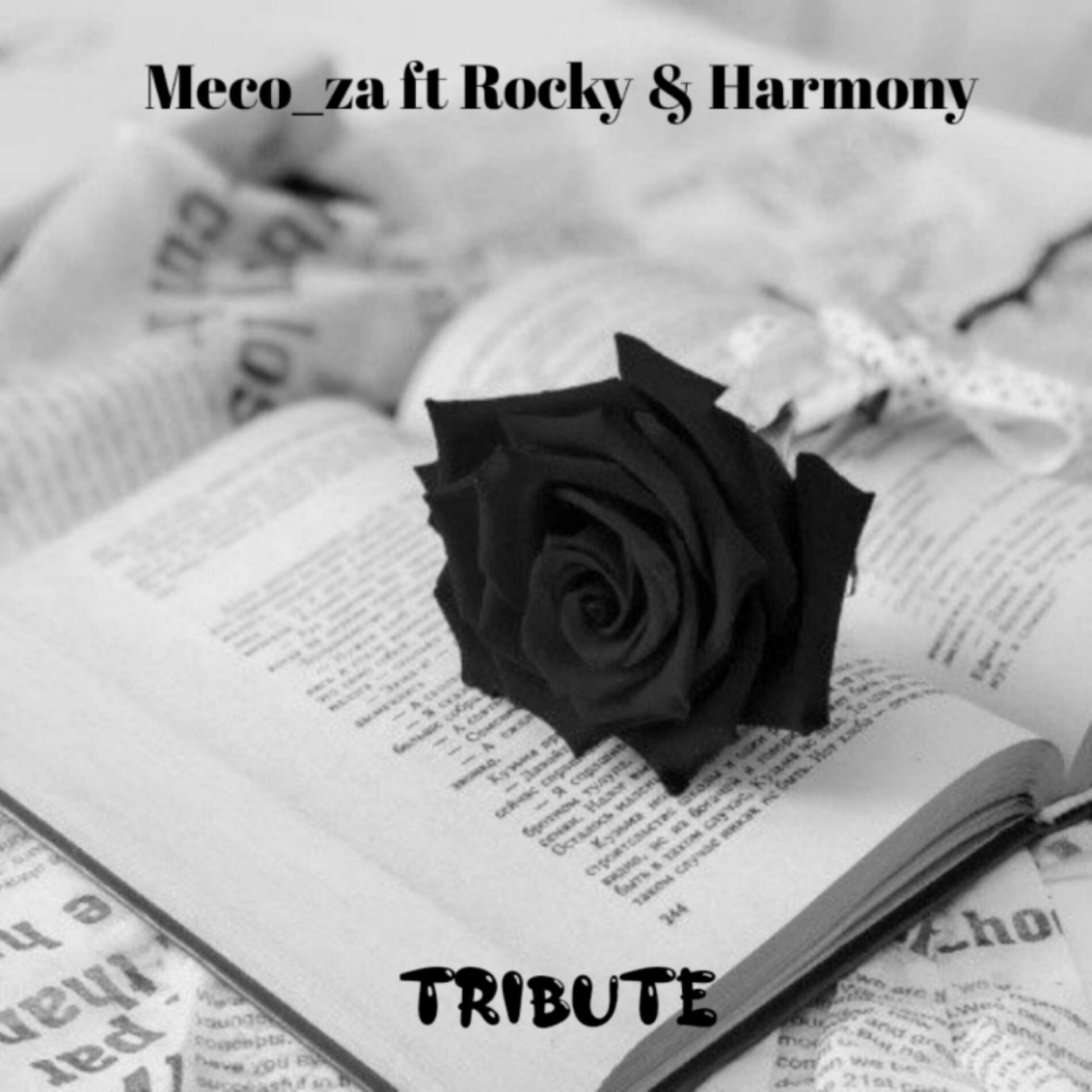 Album cover of Tribute (feat. Harmony Skade & Rocky)
