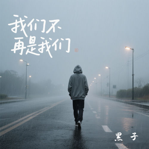 我们不再是我们 (Dj浩然版)
