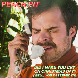 Cover of Did I Make You Cry on Christmas Day? (Well, You Deserved it!)