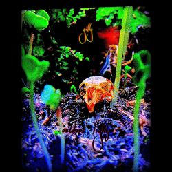 Cover of outdoor lights