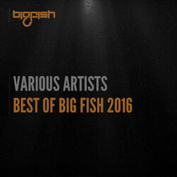 Cover of Best of Big Fish 2016