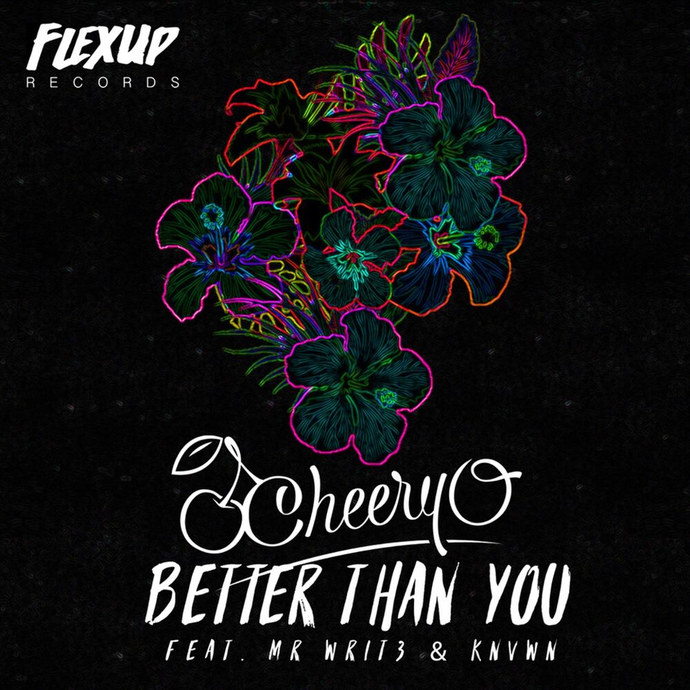 Picture of Better Than You
