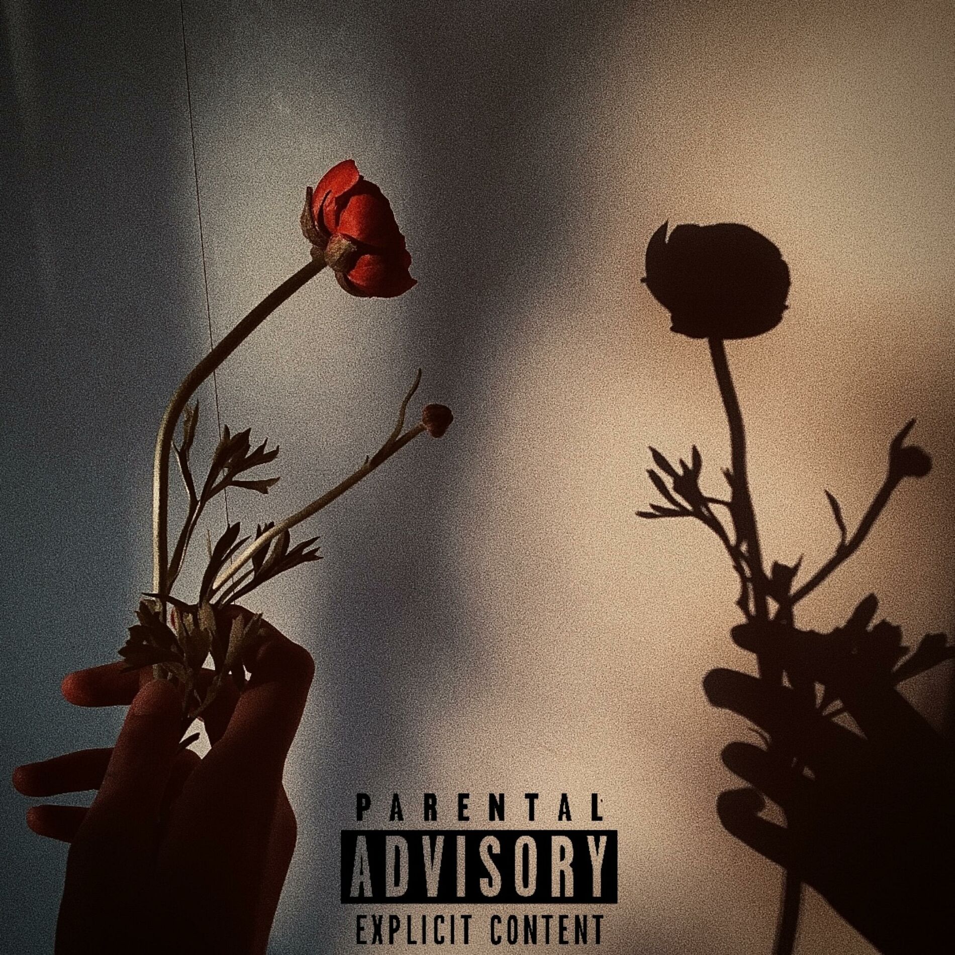Album cover of Twenty Three