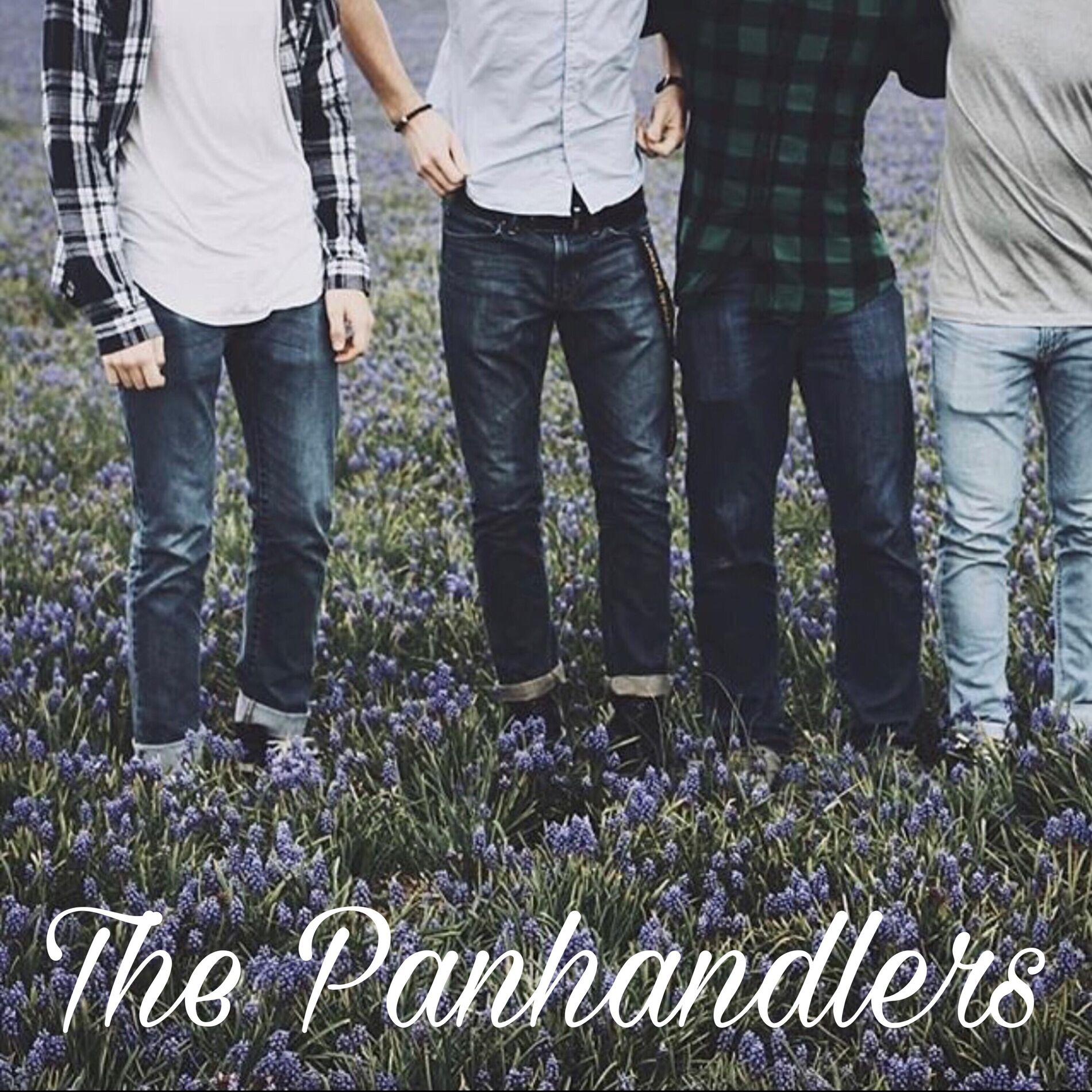 Album cover of The Panhandlers