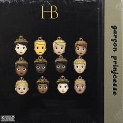 Cover of Garçon princesse