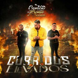 Cover of Corridos Elevados