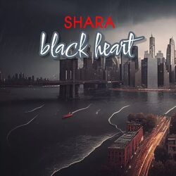 Cover of black heart