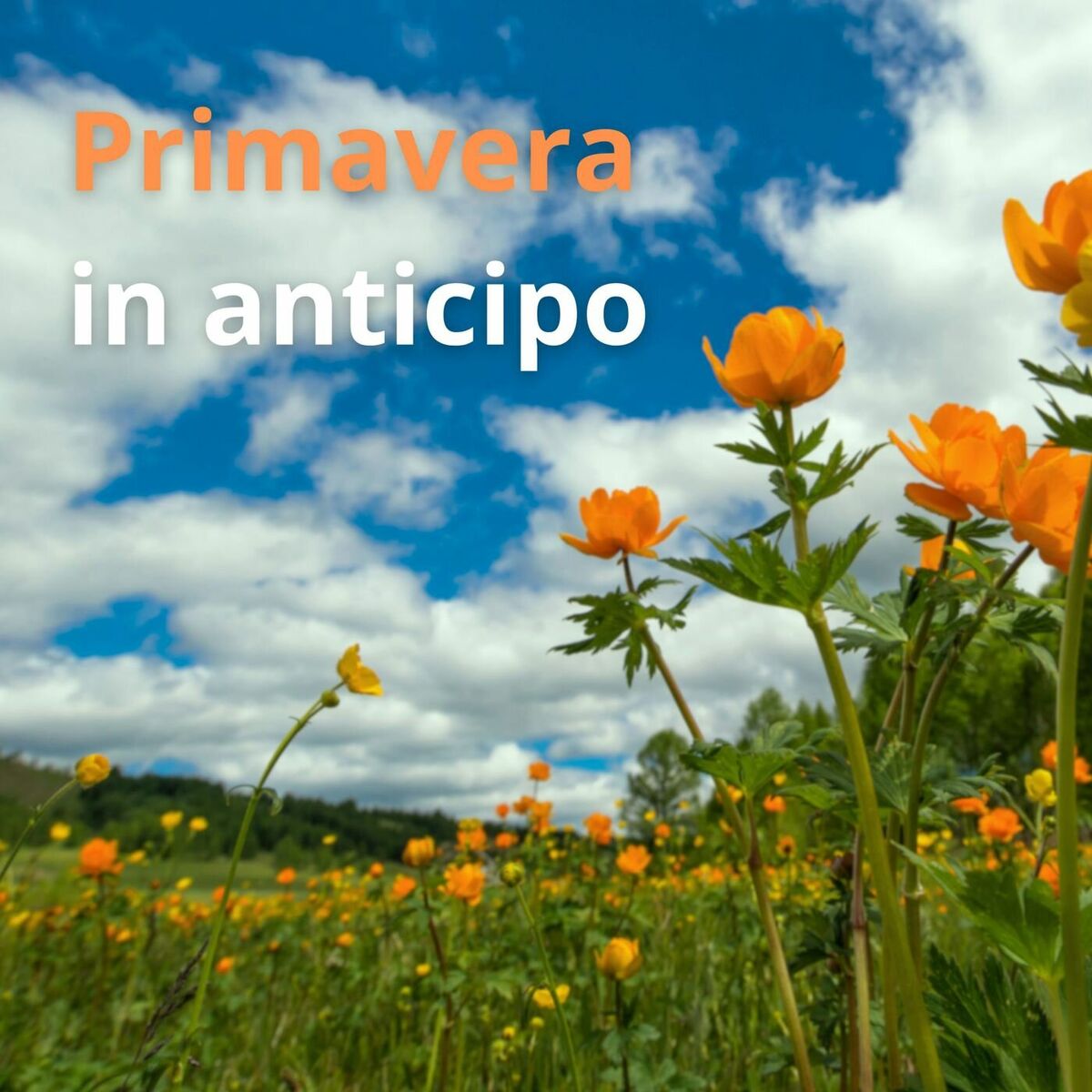 Album cover of Primavera in anticipo