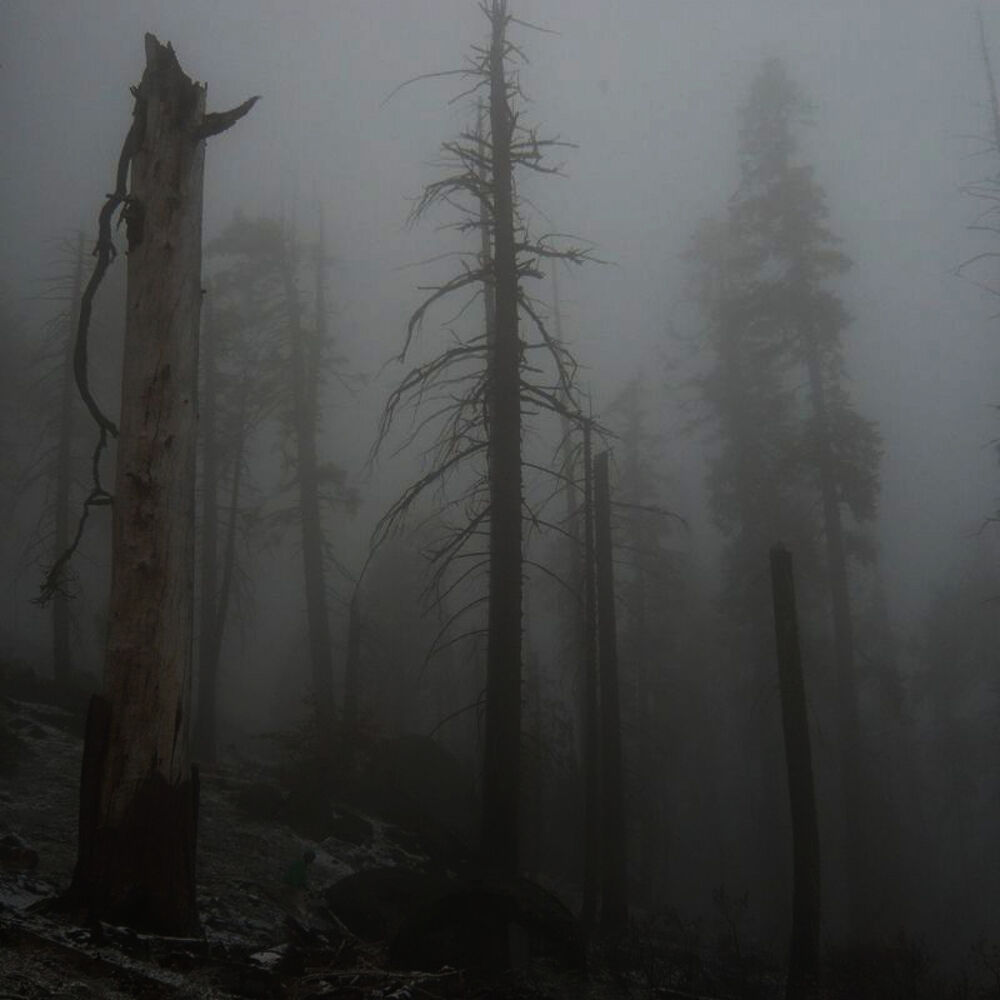 Picture of Mount Eerie Pts. 6 & 7