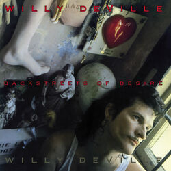 Cover of Backstreets of Desire