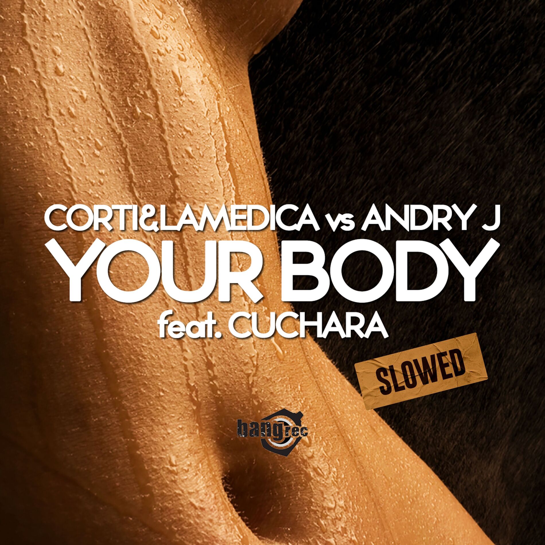 Album cover of Your Body