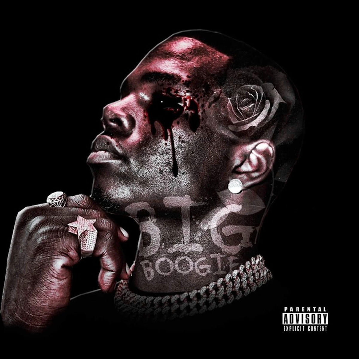 Album cover of Final Chapter