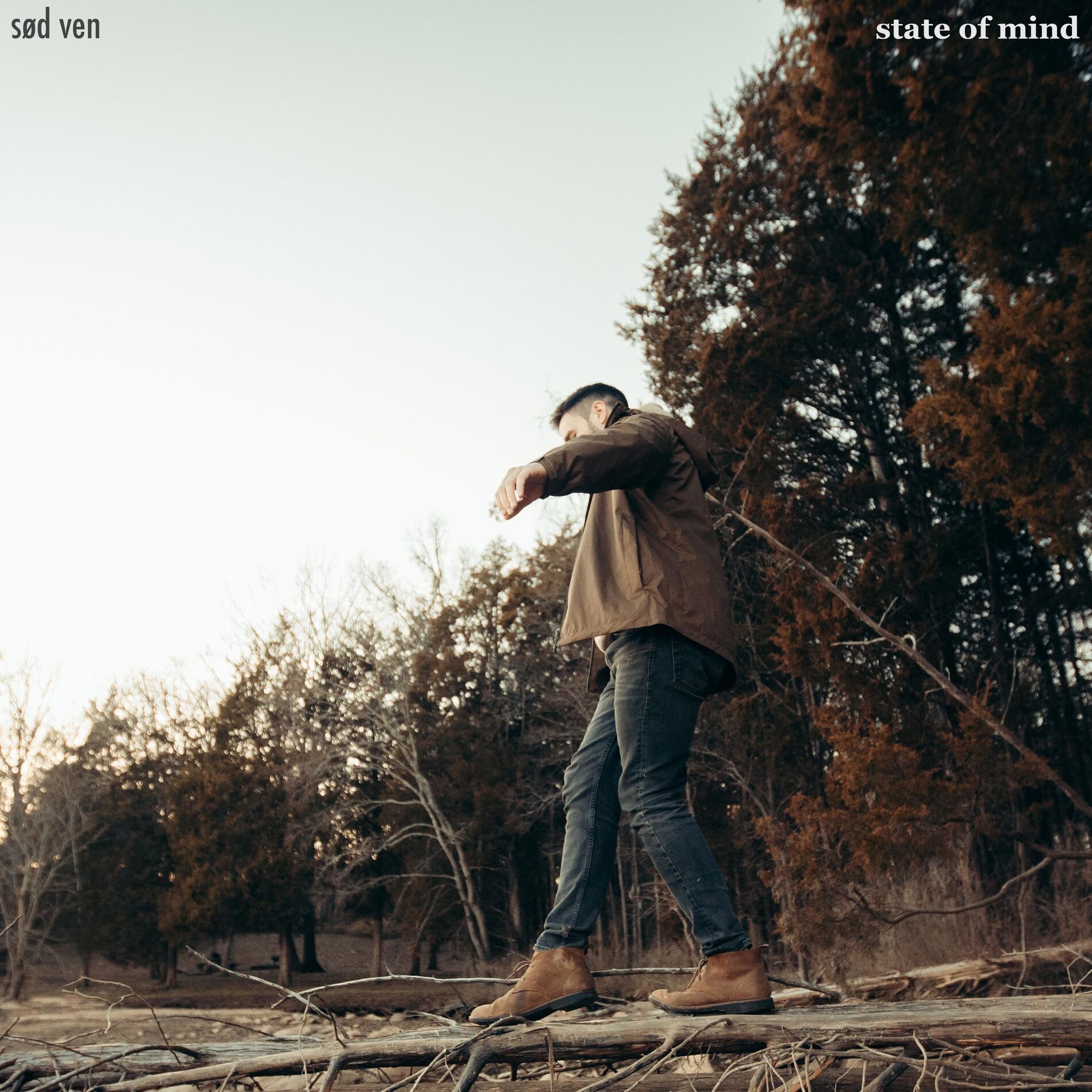 Album cover of state of mind