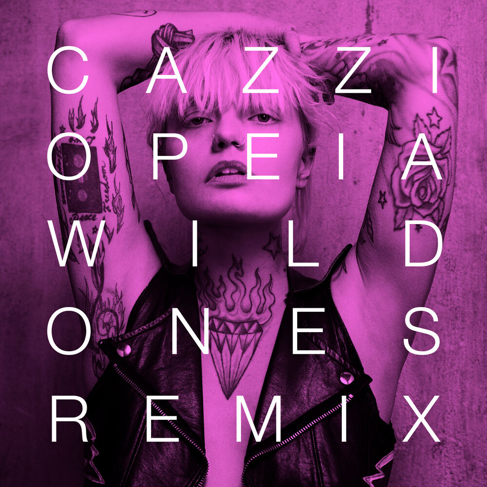 Picture of Wild Ones (Remixes)