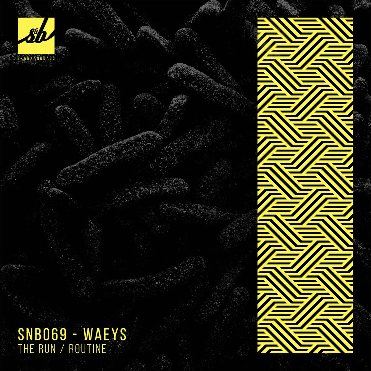 Album cover of The Run