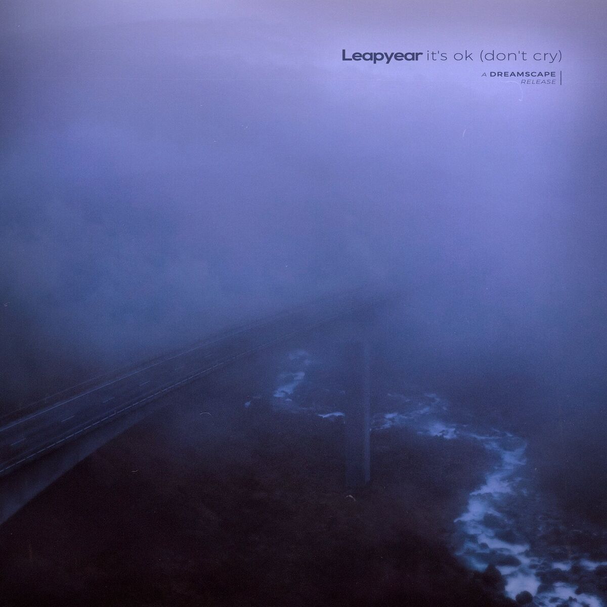 Album cover of it's ok (don't cry)
