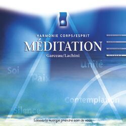 Cover of Musique d'immersion : Méditation (Harmonie corps/esprit)